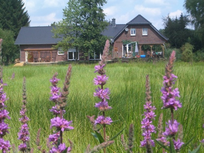Kapelle an der Heide